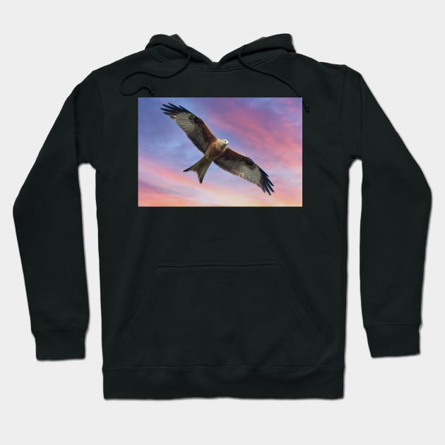 Soaring Red Kite Bird of Prey Hoodie by MartynUK